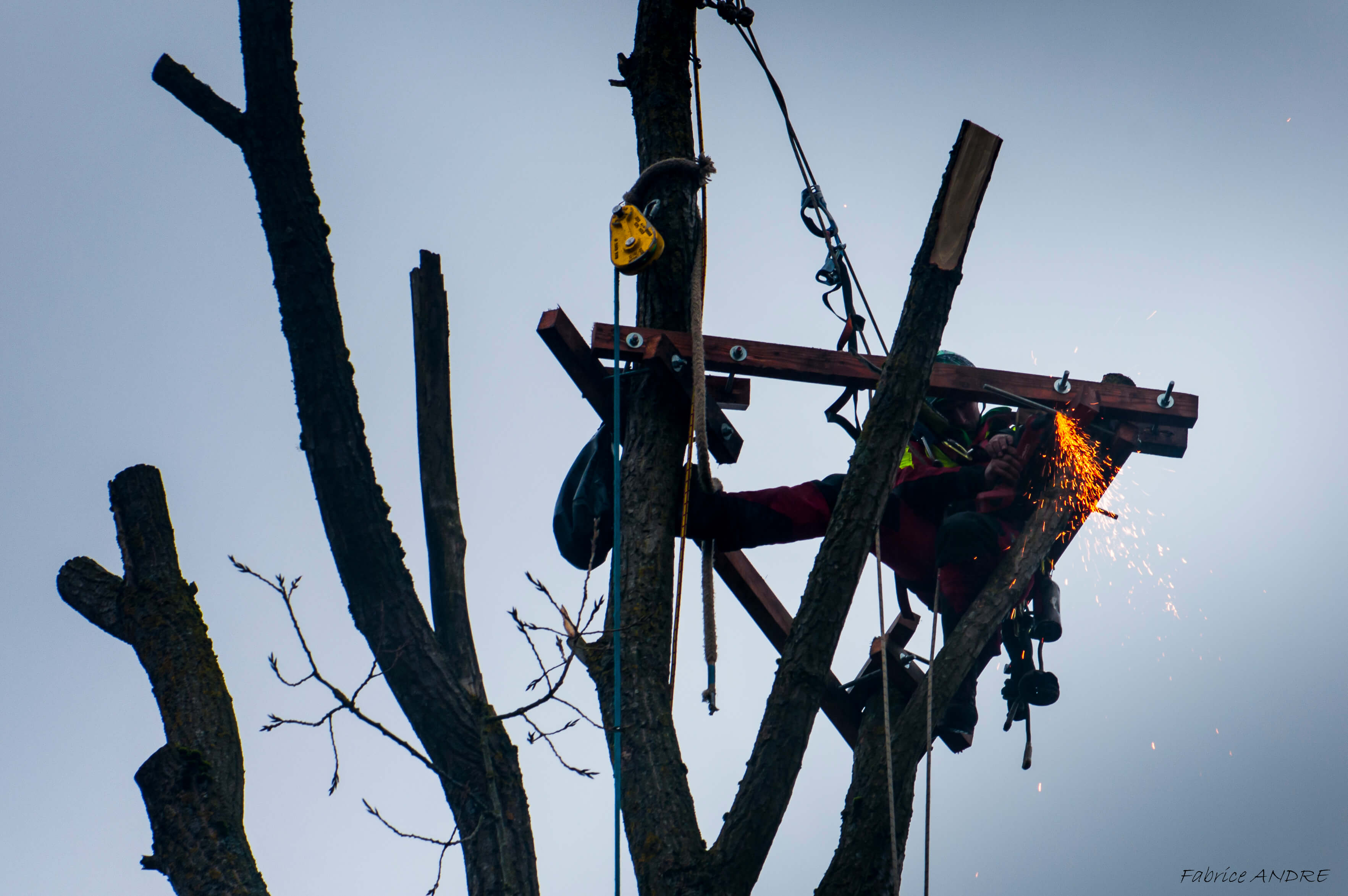 comment-intervenir-sur-un-arbre-difficile-dacces